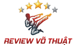 reviewvothuat